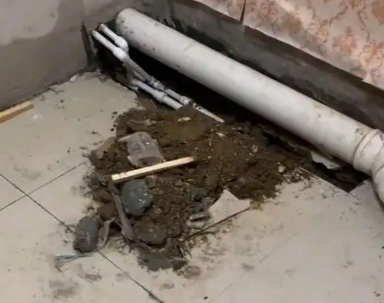 凤翔卫生间漏水检测哪家好